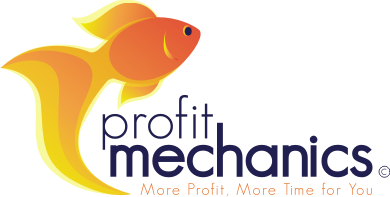 Profit Mechanics