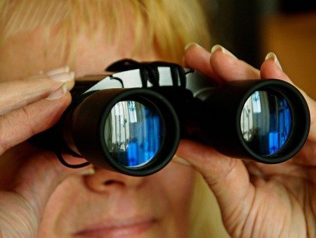 Don’t look past the chamber…